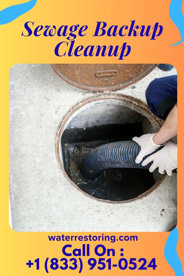 Sewage Backup Cleanup in Coal Valley, IL