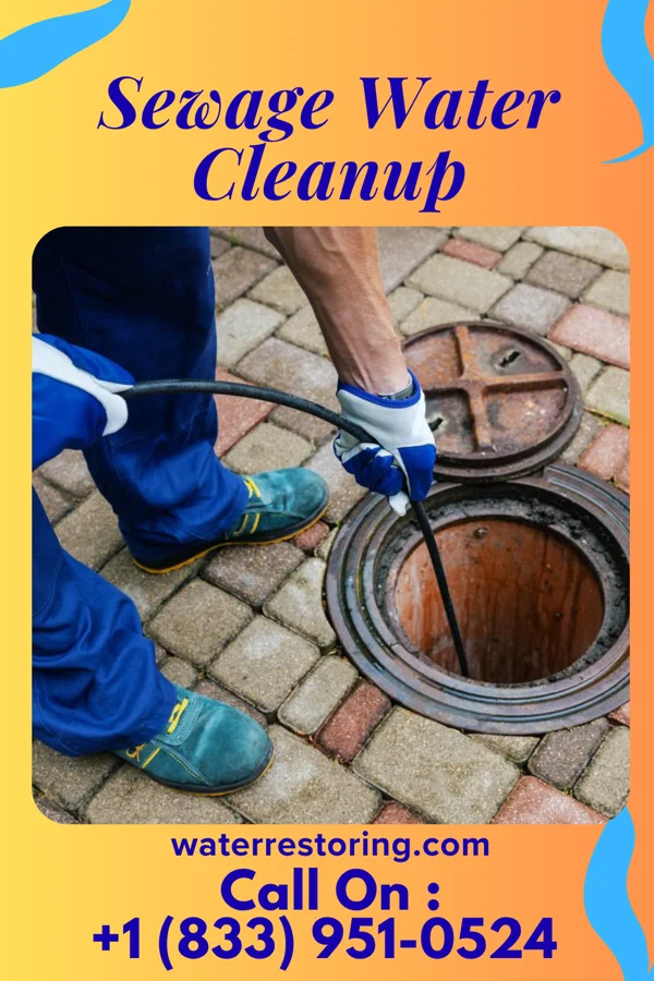 Sewage Water Cleanup in Coal Valley, IL
